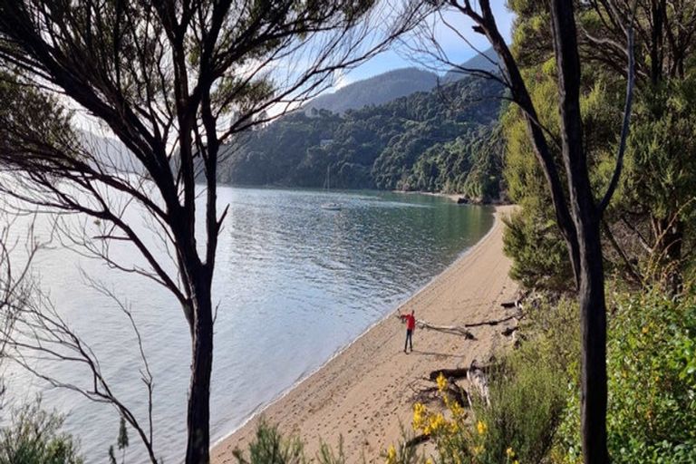 Photo of property in 246 Moetapu Bay Road, Moetapu Bay, Picton, 7282