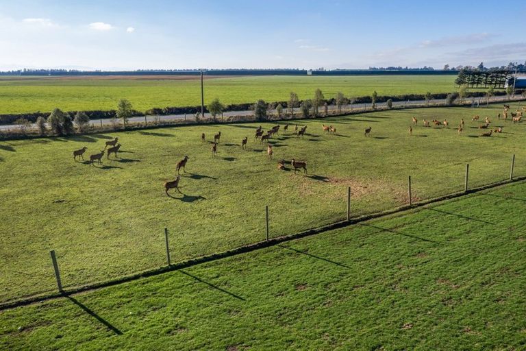 Photo of property in 322 Hatfield Overdale Road, Hatfield, Rakaia, 7784