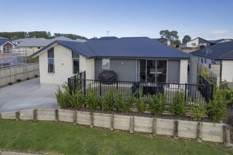 Photo of property in 174 Te Ranga Memorial Drive, Pyes Pa, Tauranga, 3112