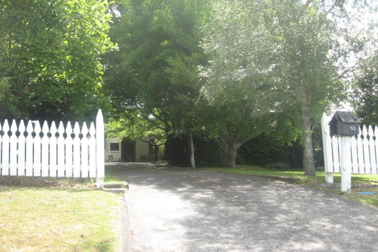 Photo of property in 55 Dunlop Road, Te Puke, 3119