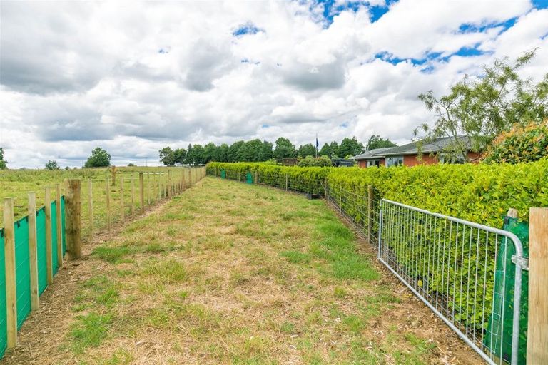 Photo of property in 533 Candy Road, Pokuru, Te Awamutu, 3875