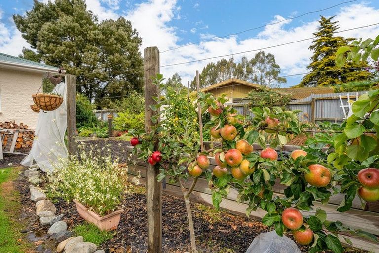 Photo of property in 10 Mortimer Street, Waimate, 7924