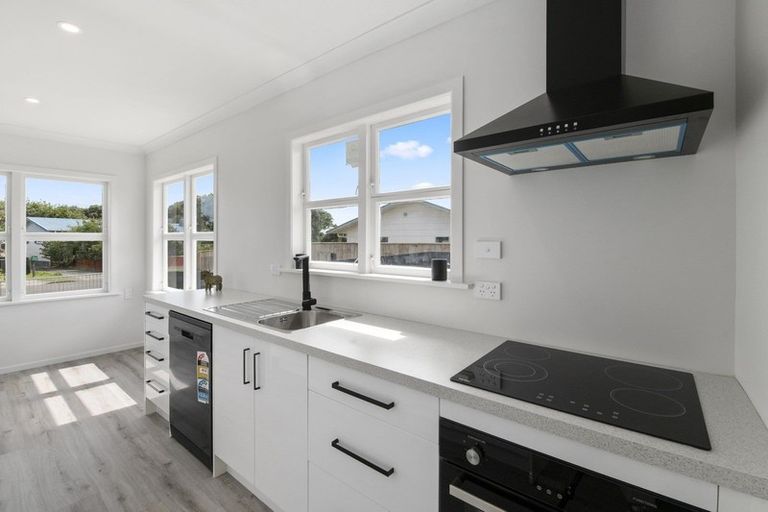 Photo of property in 35 Balmoral Street, Levin, 5510
