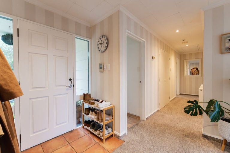 Photo of property in 1 Brugh Place, Waverley, Dunedin, 9013