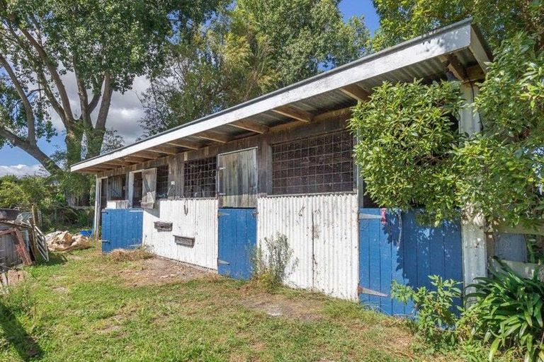 Photo of property in 328 Hokio Beach Road, Hokio Beach, Levin, 5571