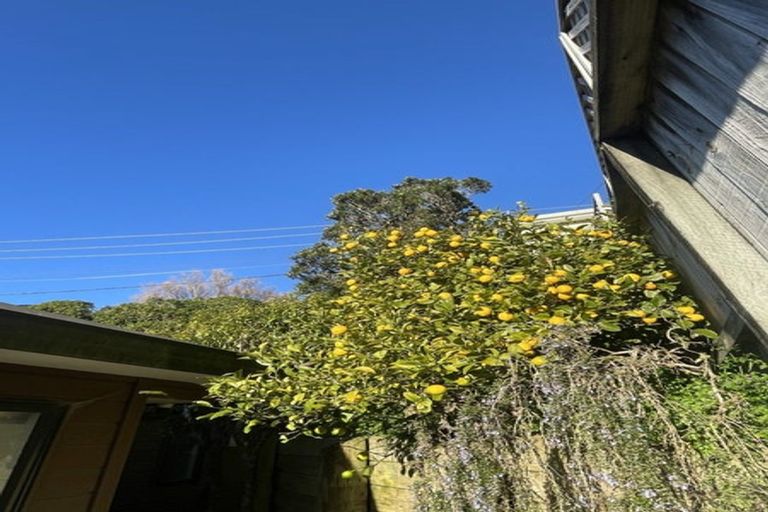 Photo of property in 17 Glanmire Road, Newlands, Wellington, 6037