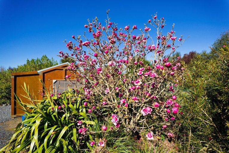 Photo of property in 238a Mount Fyffe Road, Kaikoura, 7300