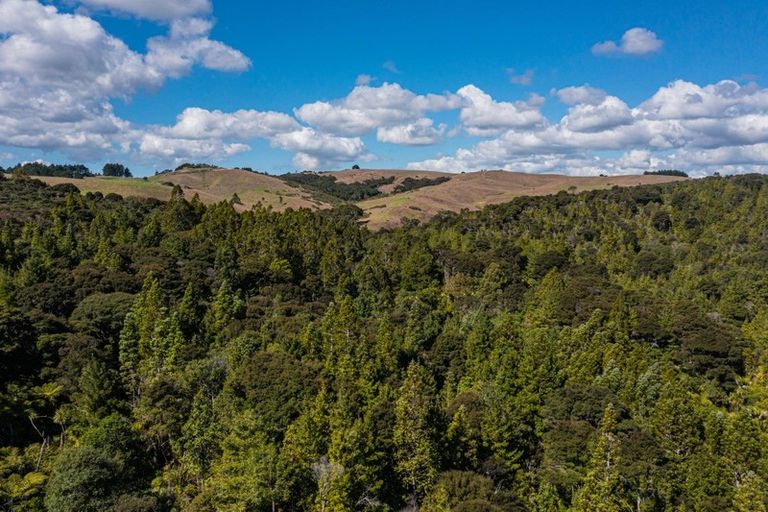 Photo of property in 116 Tuhirangi Road, Makarau, Warkworth, 0984