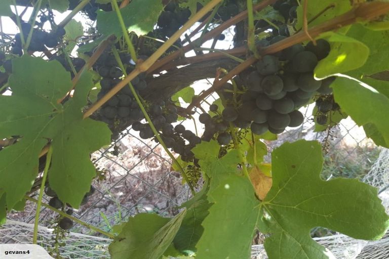 Photo of property in 3353 Mangakahia Road, Pakotai, Whangarei, 0172