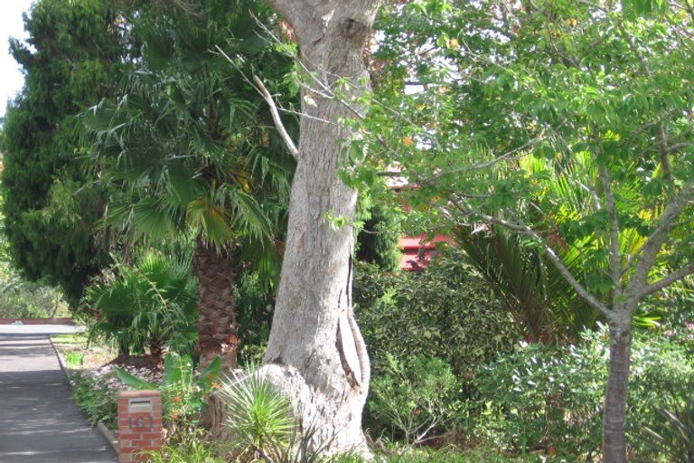 Photo of property in 161 Atkinson Road, Titirangi, Auckland, 0604