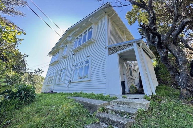 Photo of property in 53 Durham Street, Aro Valley, Wellington, 6021