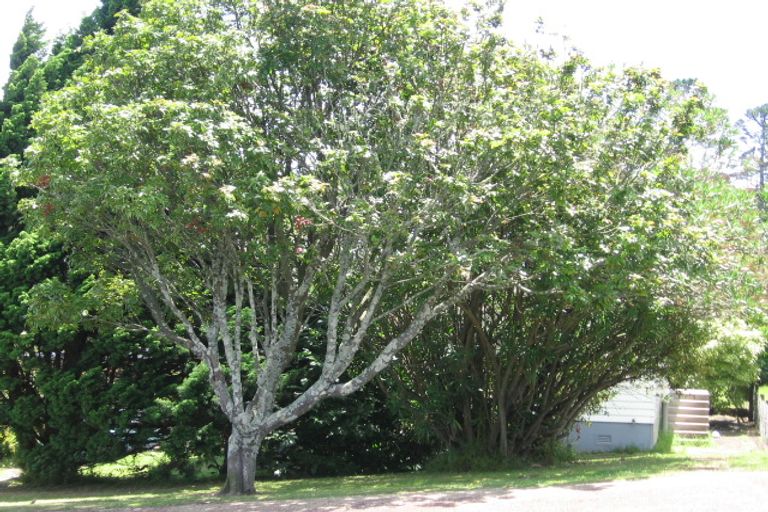 Photo of property in 20a Holbrook Street, Blockhouse Bay, Auckland, 0600