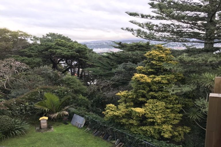 Photo of property in 24 Beacon Hill Road, Strathmore Park, Wellington, 6022