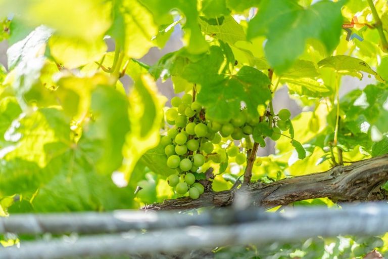 Photo of property in 36 Tilbury Street, Fairfield, Lower Hutt, 5011