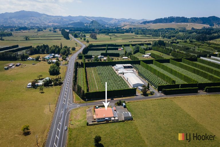 Photo of property in 6 Trig Road, Waihi, 3681