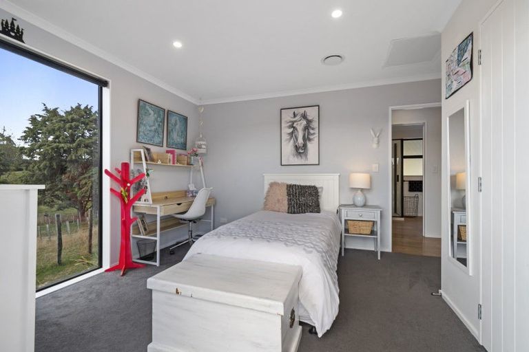 Photo of property in 338 Valley Road, Colyton, Feilding, 4775