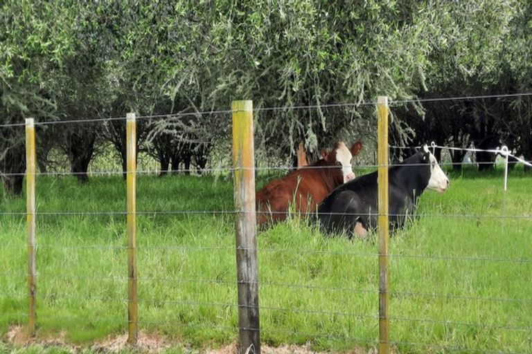 Photo of property in 9 Meadow Lane, Pakaraka, Kaikohe, 0472