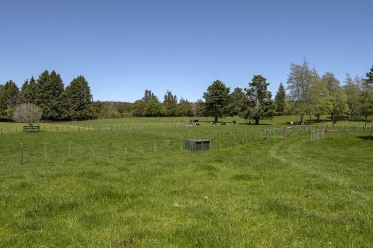 Photo of property in 1299 Omanawa Road, Omanawa, Tauranga, 3171