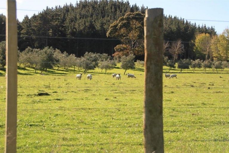 Photo of property in 62 Delhi Avenue, Aramoho, Whanganui, 4500