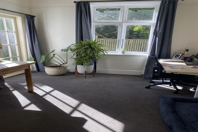 Photo of property in 42 Mccoll Street, Vogeltown, Wellington, 6021