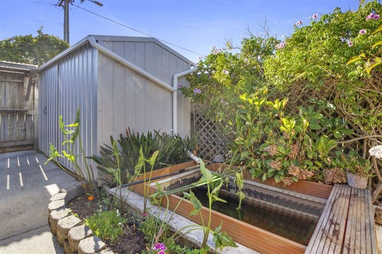 Photo of property in 3 Dulcie Street, Paeroa, 3600