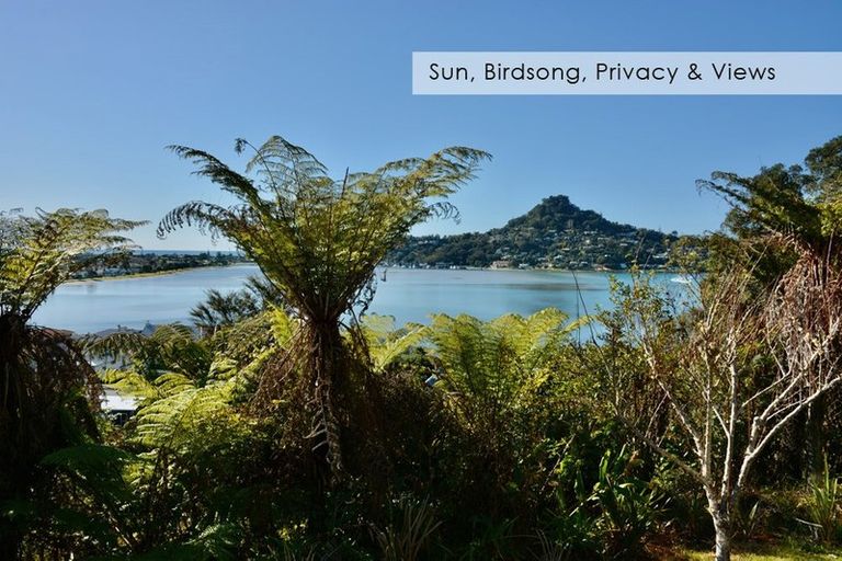 Photo of property in 16 Pine Grove, Tairua, 3508