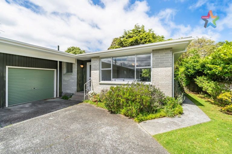Photo of property in 8a Copeland Street, Hutt Central, Lower Hutt, 5011