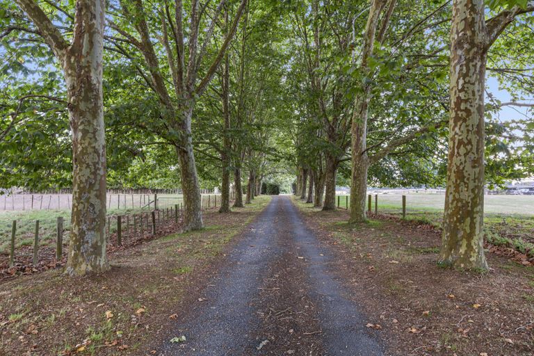 Photo of property in 212b Newell Road, Tamahere, Hamilton, 3283