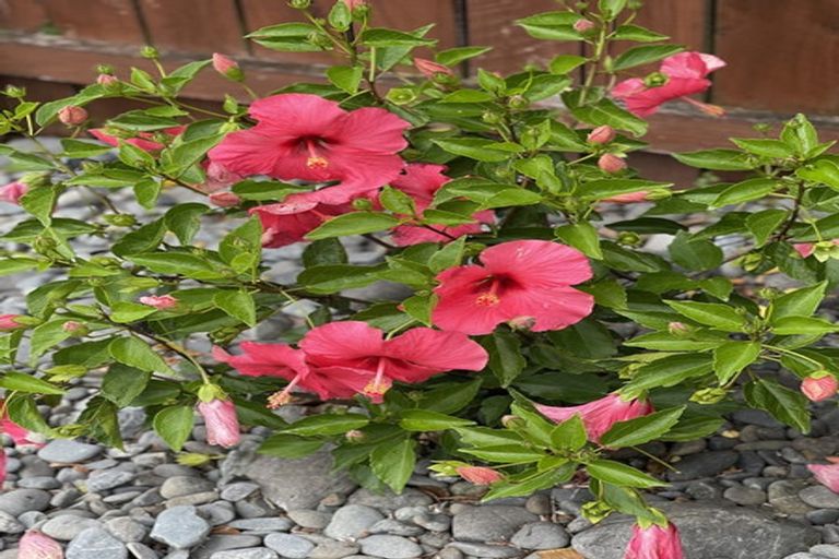 Photo of property in 105 Point Wells Road, Point Wells, Warkworth, 0986