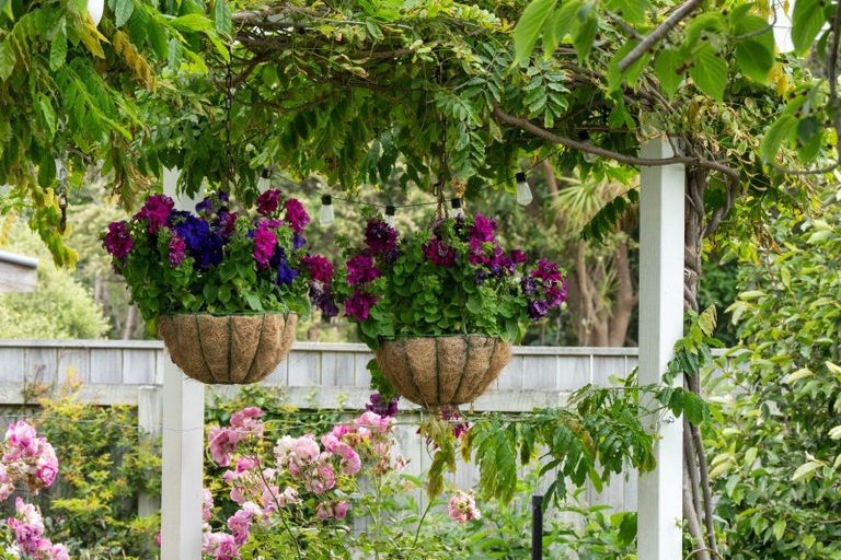 Photo of property in 37 Kiharoa Street, Otaki Beach, Otaki, 5512