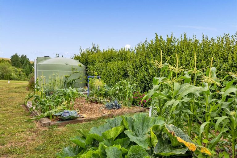 Photo of property in 172 Whakamara Road, Manutahi, Hawera, 4672