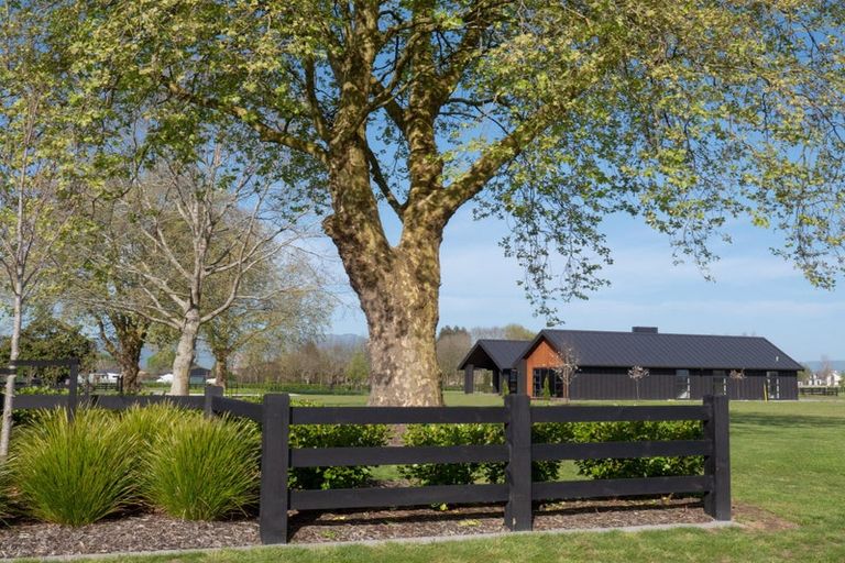 Photo of property in 7 Orchard Place, Matamata, 3472