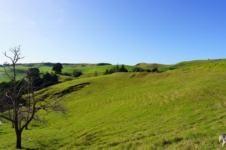 Photo of property in 1658 Ruapekapeka Road, Kawakawa, 0182