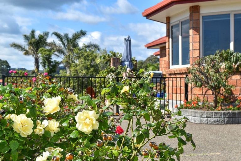 Photo of property in 18 Diamond Head, Hairini, Tauranga, 3112