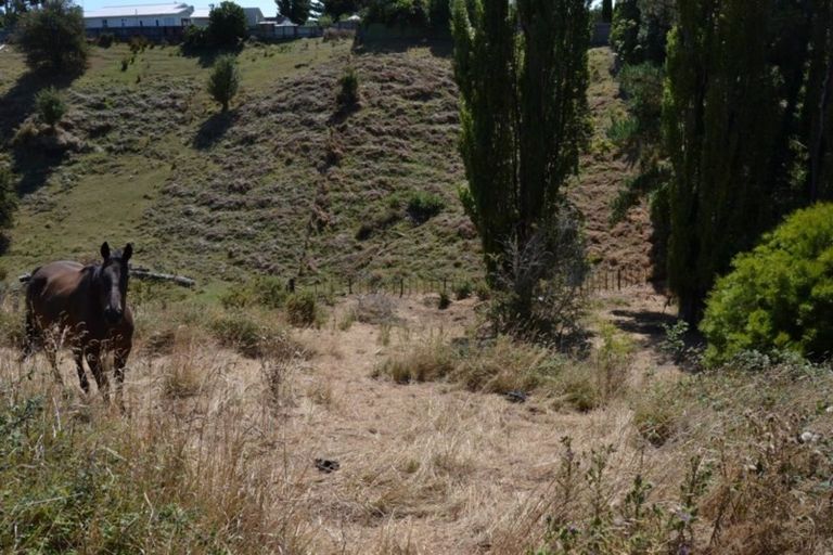 Photo of property in 36 Burtts Road, Durie Hill, Whanganui, 4500