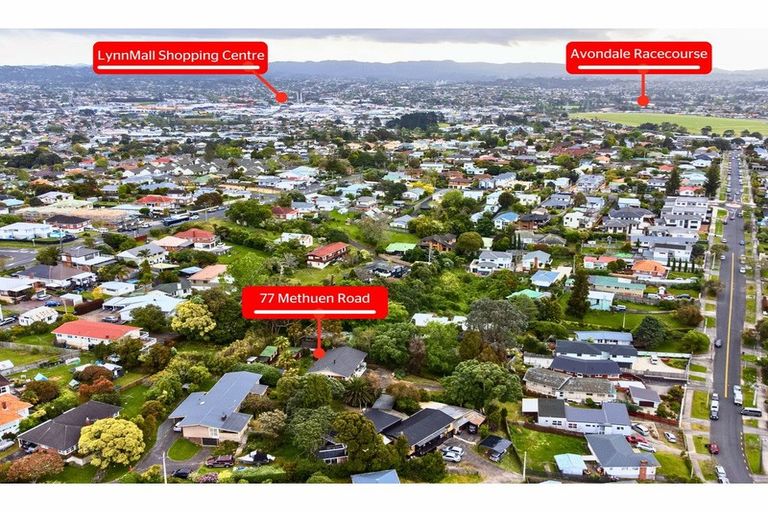 Photo of property in 77 Methuen Road, New Windsor, Auckland, 0600
