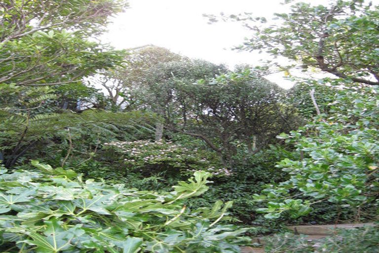 Photo of property in 32 Plunket Street, Kelburn, Wellington, 6012