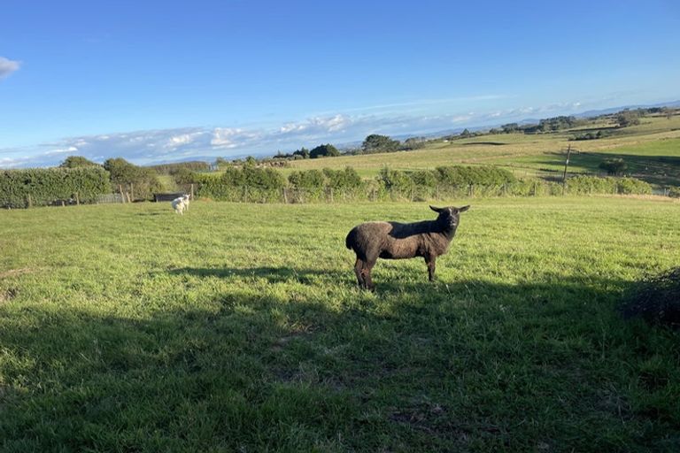 Photo of property in 101a Logan Road, Pukekawa, Tuakau, 2696