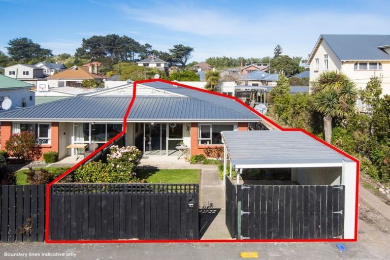 Photo of property in 66a Albert Street, Saint Clair, Dunedin, 9012