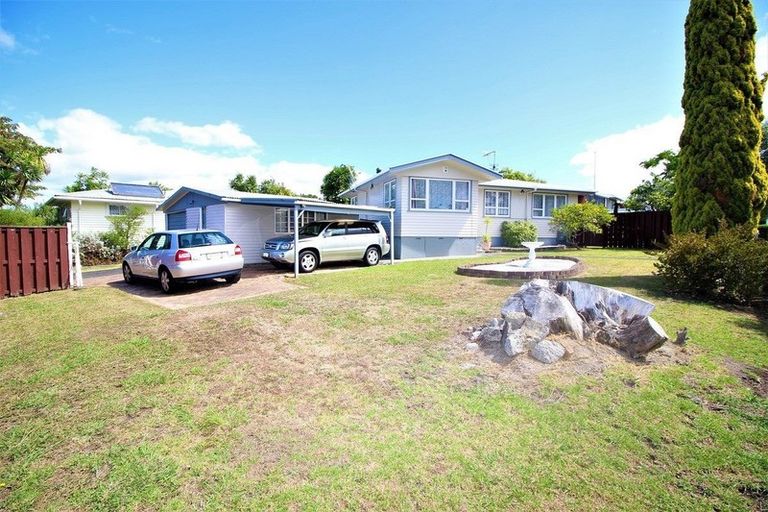 Photo of property in 133 Riverpark Crescent, Henderson, Auckland, 0610