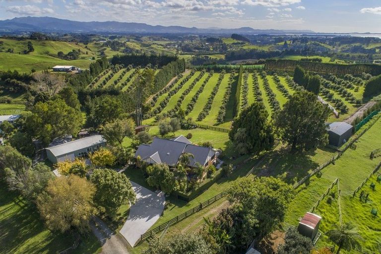 Photo of property in 63d Lowe Road, Whakamarama, Tauranga, 3180