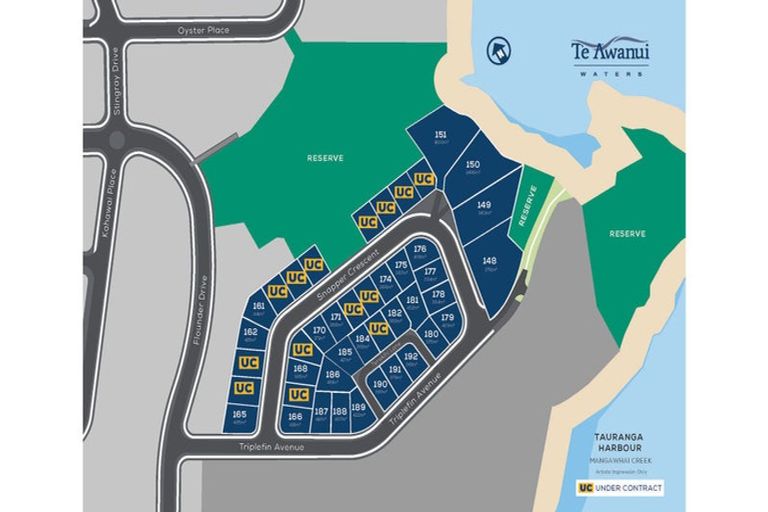 Photo of property in 9 Triplefin Avenue, Omokoroa, 3114