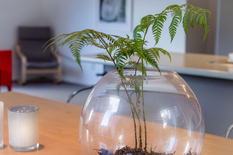 Photo of property in 85 Laingholm Drive, Laingholm, Auckland, 0604