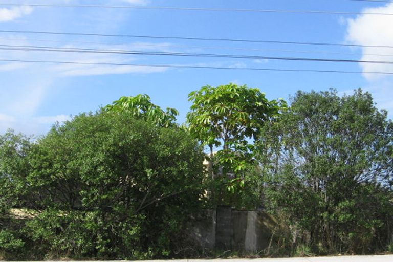 Photo of property in 133 Hobsonville Road, West Harbour, Auckland, 0618