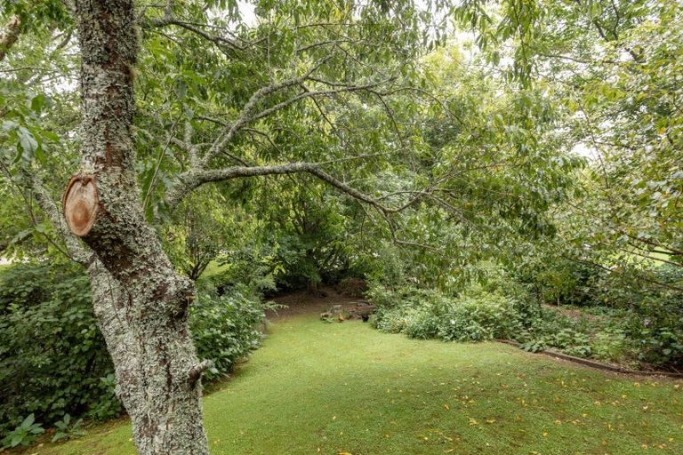 Photo of property in 20 Emmerdale Place, Ohauiti, Tauranga, 3112