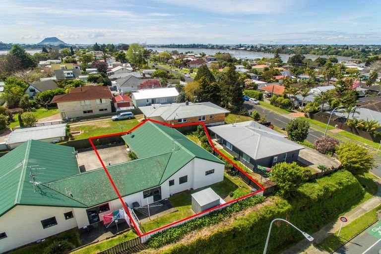 Photo of property in 1b London Place, Judea, Tauranga, 3110