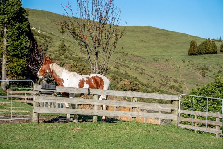 Photo of property in 50 Walden Lane, Minden, Tauranga, 3171