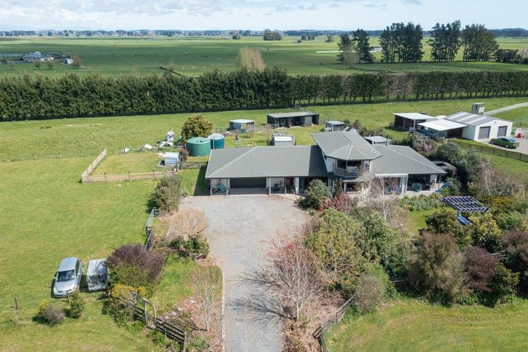 Photo of property in 521 Hickford Road, Foxton, 4891