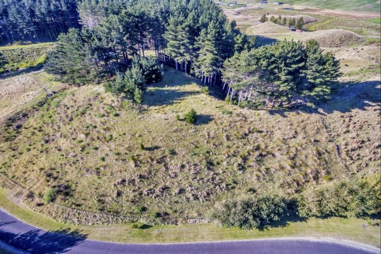 Photo of property in 101 Emma Drive, Manakau, 5573