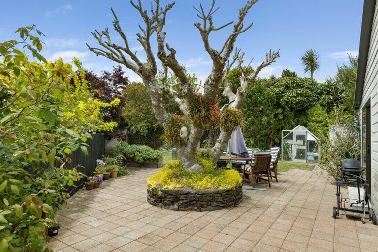 Photo of property in 225a Minden Road, Minden, Tauranga, 3176